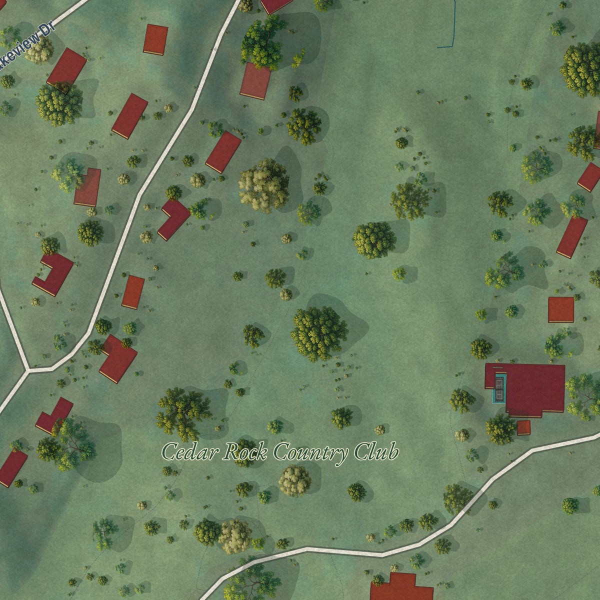 Close-up of the map of Cedar Rock, North Carolina print showing street and building detail