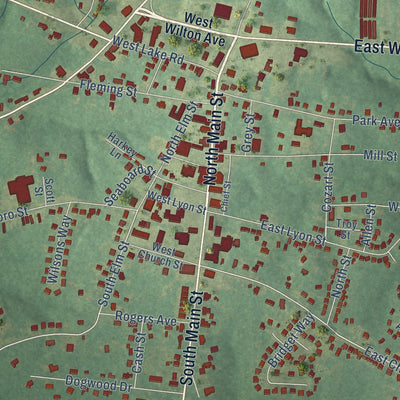 Close-up of the map of Creedmoor, North Carolina print showing street and building detail