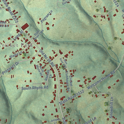 Close-up of the map of Cricket, North Carolina print showing street and building detail