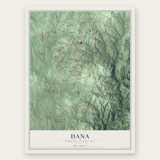 Dana, North Carolina map print, the full design