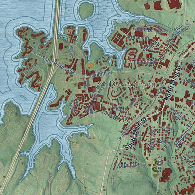 Close-up of the map of Davidson, North Carolina print showing street and building detail