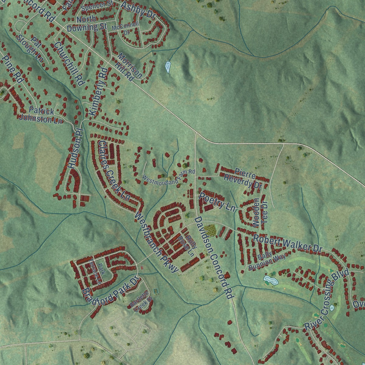 Second close-up of the map of Davidson, North Carolina print showing more streets and buildings
