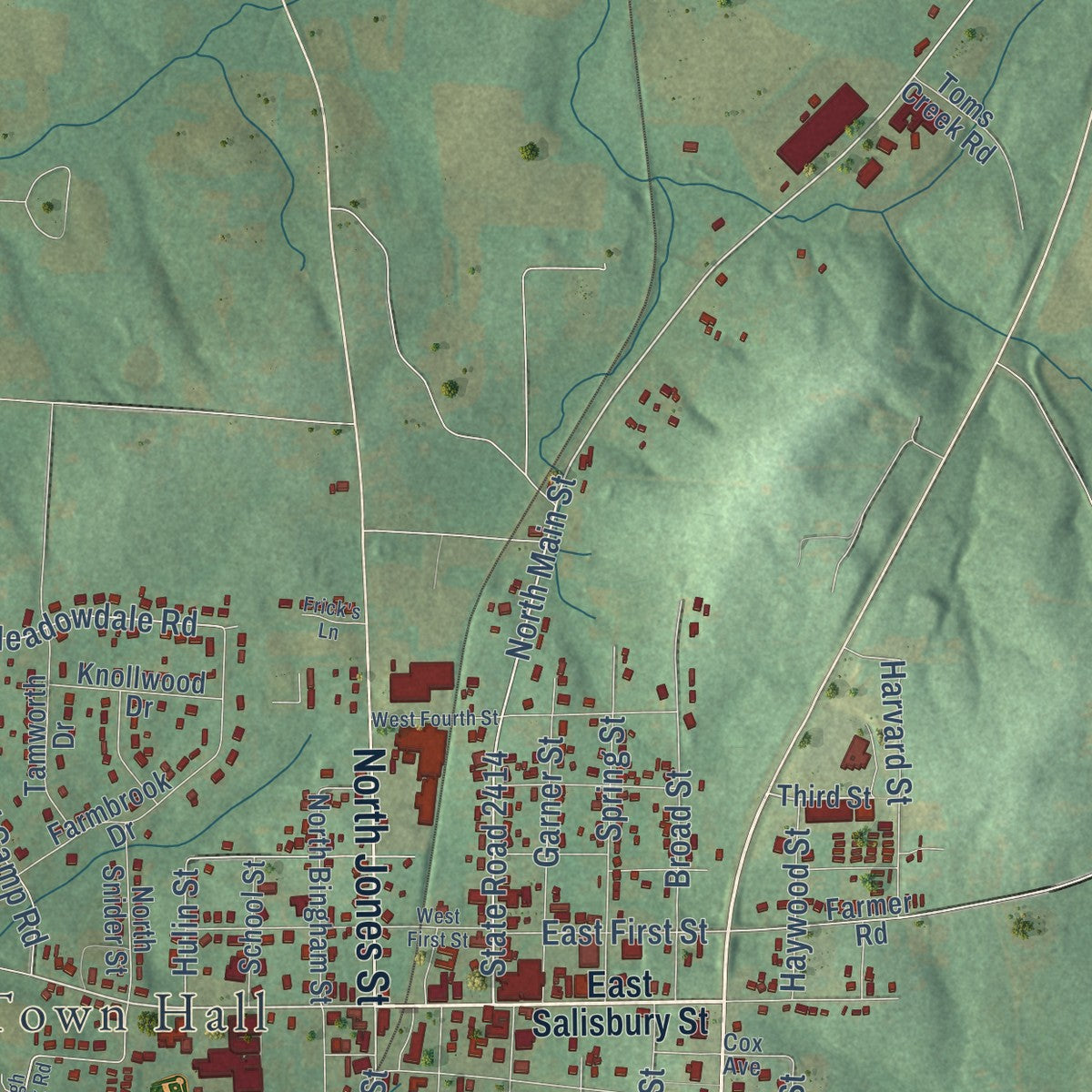 Close-up of the map of Denton, North Carolina print showing street and building detail
