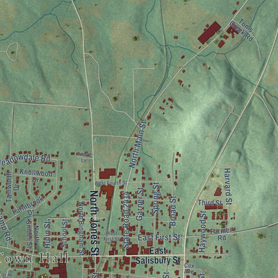 Close-up of the map of Denton, North Carolina print showing street and building detail