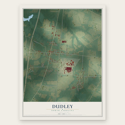 Dudley, North Carolina map print, the full design