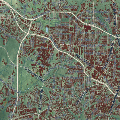 Close-up of the map of Durham, North Carolina print showing street and building detail