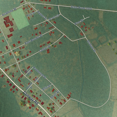 Second close-up of the map of Fair Bluff, North Carolina print showing more streets and buildings