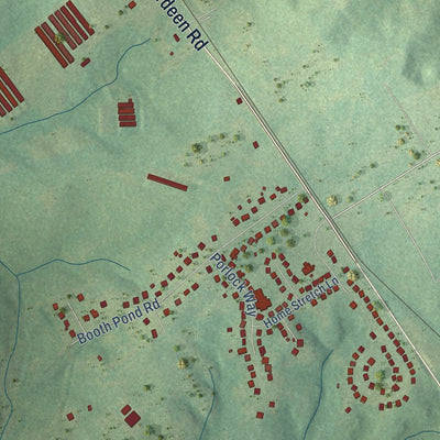 Close-up of the map of Five Points, North Carolina print showing street and building detail