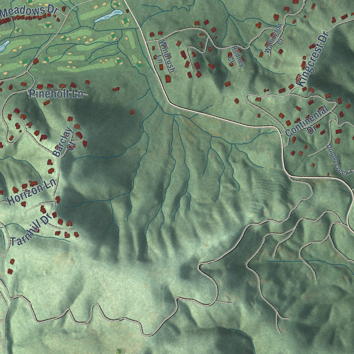 Second close-up of the map of Flat Rock, North Carolina print showing more streets and buildings