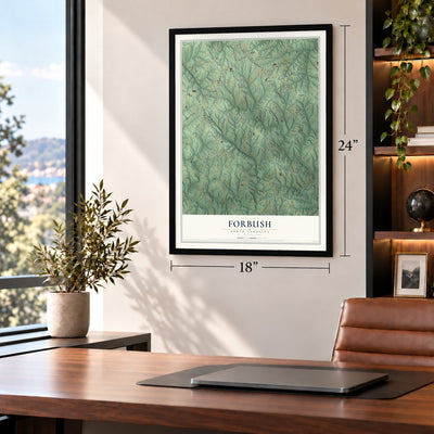 Forbush, North Carolina map, 18 x 24 inch print in a black frame in a home office