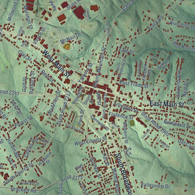 Close-up of the map of Forest City, North Carolina print showing street and building detail