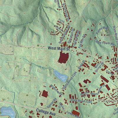 Second close-up of the map of Forest City, North Carolina print showing more streets and buildings