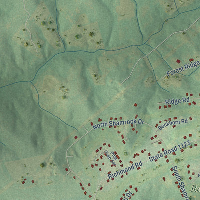 Second close-up of the map of Foxfire, North Carolina print showing more streets and buildings