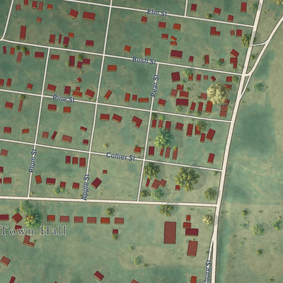Close-up of the map of Garysburg, North Carolina print showing street and building detail
