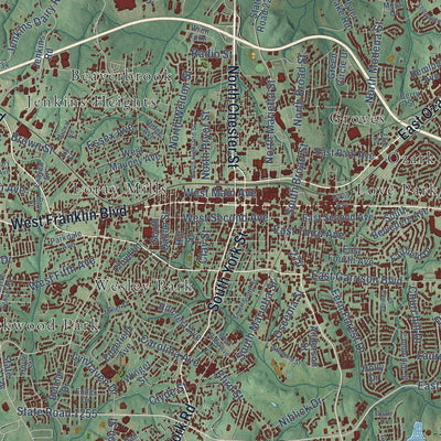 Close-up of the map of Gastonia, North Carolina print showing street and building detail