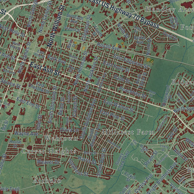 Close-up of the map of Goldsboro, North Carolina print showing street and building detail