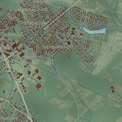 Second close-up of the map of Goldsboro, North Carolina print showing more streets and buildings