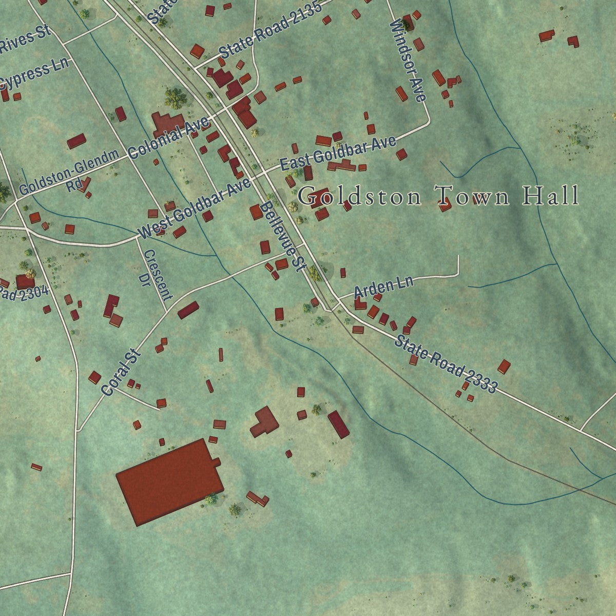 Close-up of the map of Goldston, North Carolina print showing street and building detail