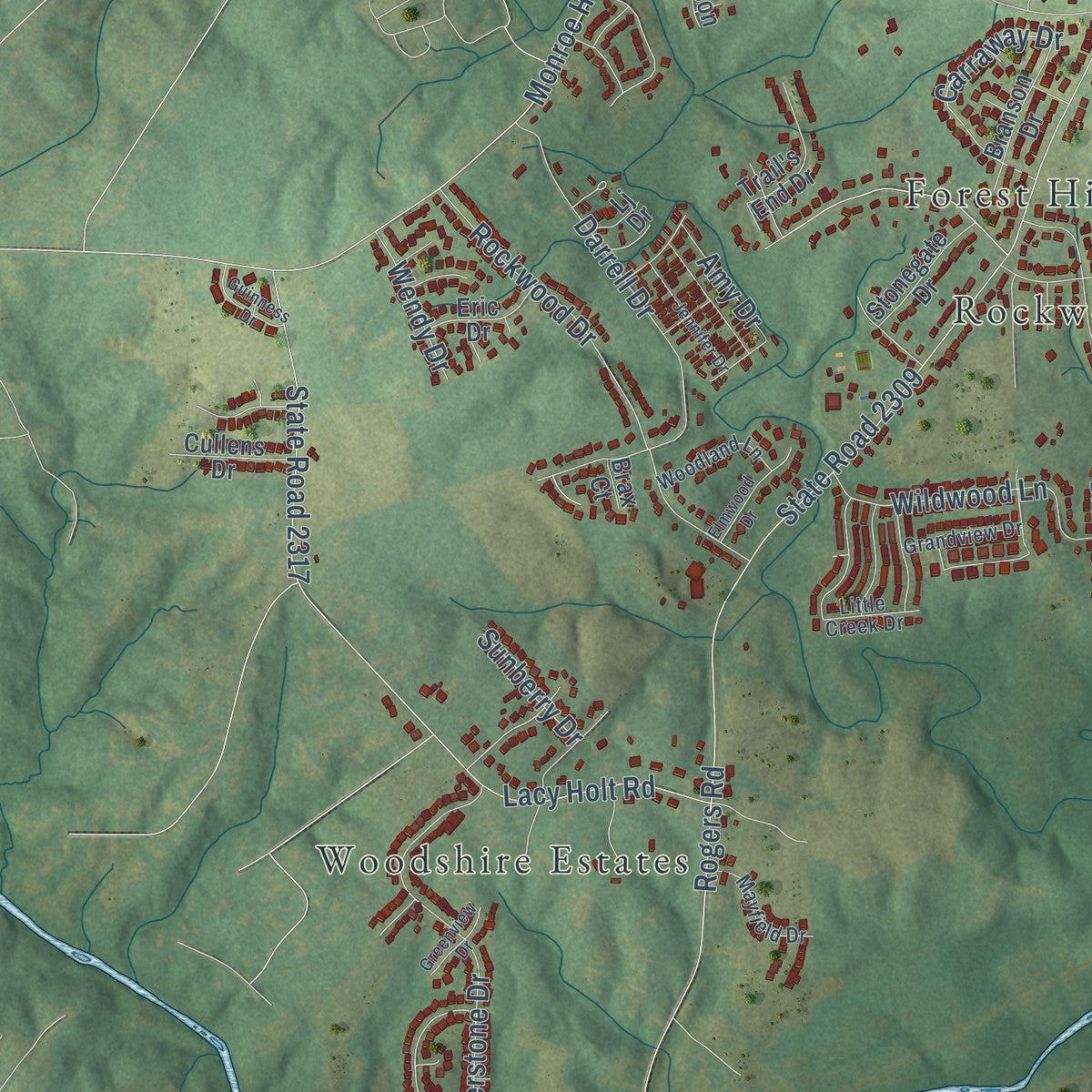 Second close-up of the map of Graham, North Carolina print showing more streets and buildings