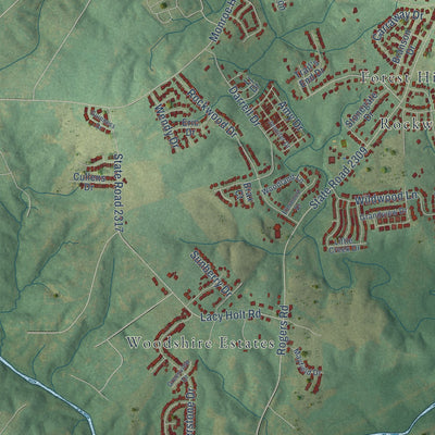 Second close-up of the map of Graham, North Carolina print showing more streets and buildings