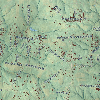 Close-up of the map of Grays Chapel, North Carolina print showing street and building detail