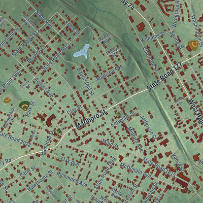 Close-up of the map of Hamlet, North Carolina print showing street and building detail