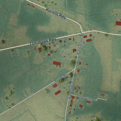Second close-up of the map of Harrells, North Carolina print showing more streets and buildings