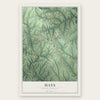 Hays, North Carolina map print, the full design