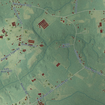 Close-up of the map of Hobbton, North Carolina print showing street and building detail