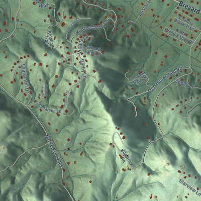 Close-up of the map of Horse Shoe, North Carolina print showing street and building detail