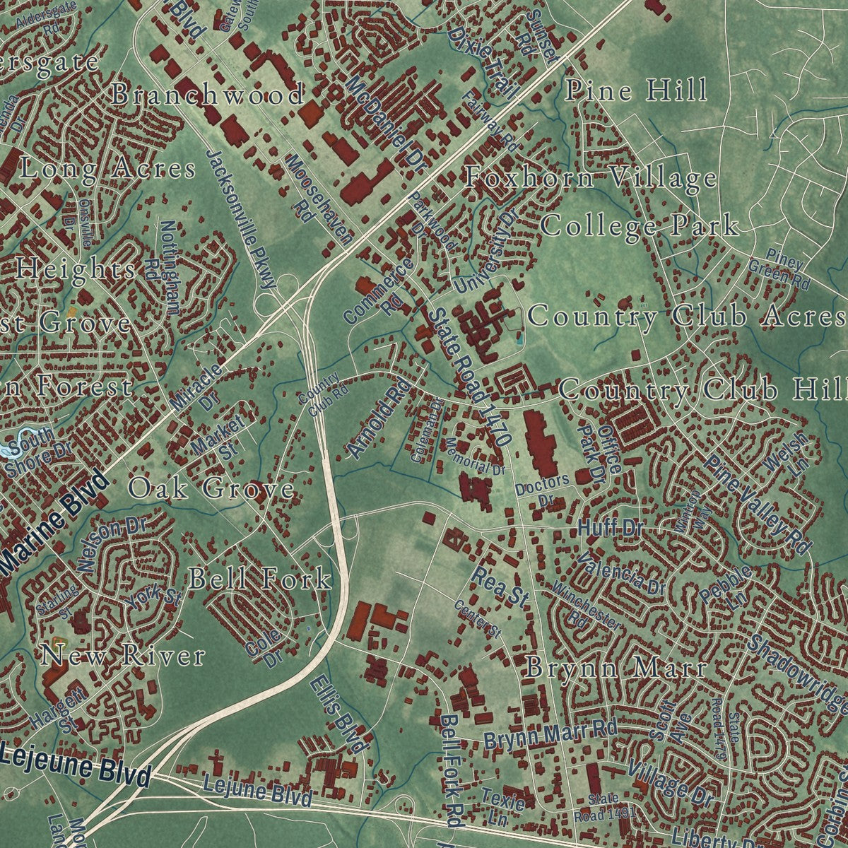 Close-up of the map of Jacksonville, North Carolina print showing street and building detail
