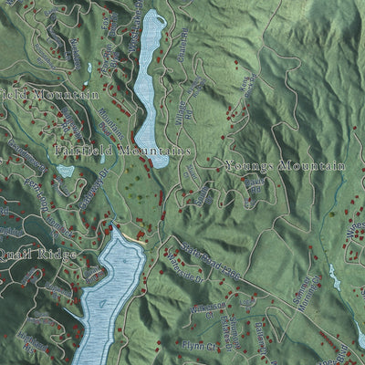 Second close-up of the map of Lake Lure, North Carolina print showing more streets and buildings