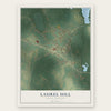 Laurel Hill, North Carolina map print, the full design