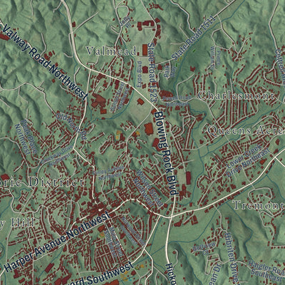 Close-up of the map of Lenoir, North Carolina print showing street and building detail
