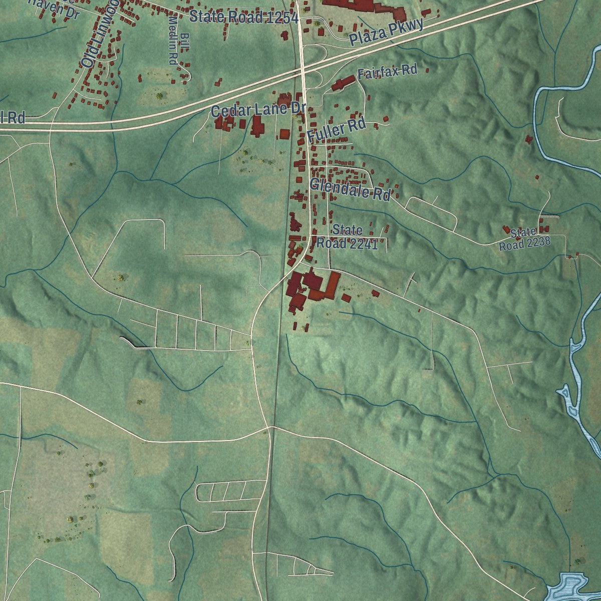 Second close-up of the map of Lexington, North Carolina print showing more streets and buildings