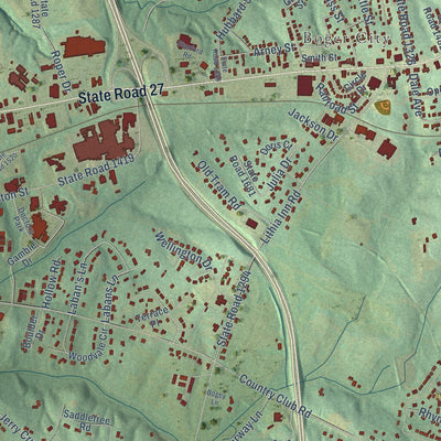 Second close-up of the map of Lincolnton, North Carolina print showing more streets and buildings