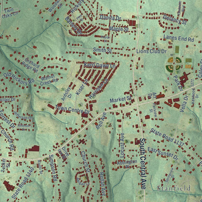 Close-up of the map of Locust, North Carolina print showing street and building detail