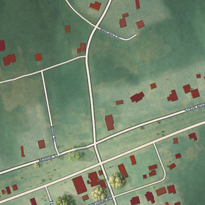 Close-up of the map of Macon, North Carolina print showing street and building detail