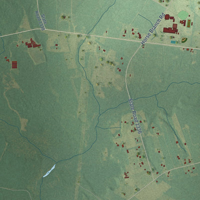 Close-up of the map of Malpass Corner, North Carolina print showing street and building detail