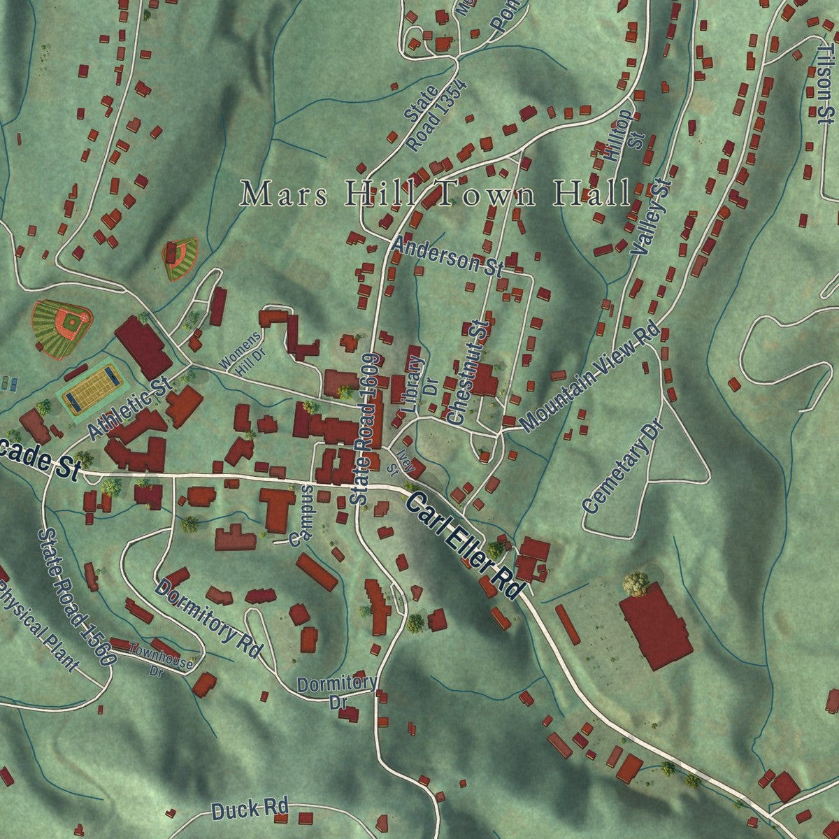 Close-up of the map of Mars Hill, North Carolina print showing street and building detail