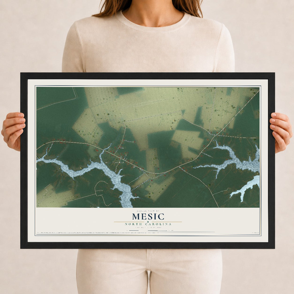 Map of Mesic, North Carolina, 12 x 18 inch print in a black wood frame