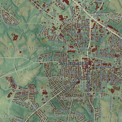 Close-up of the map of Monroe, North Carolina print showing street and building detail