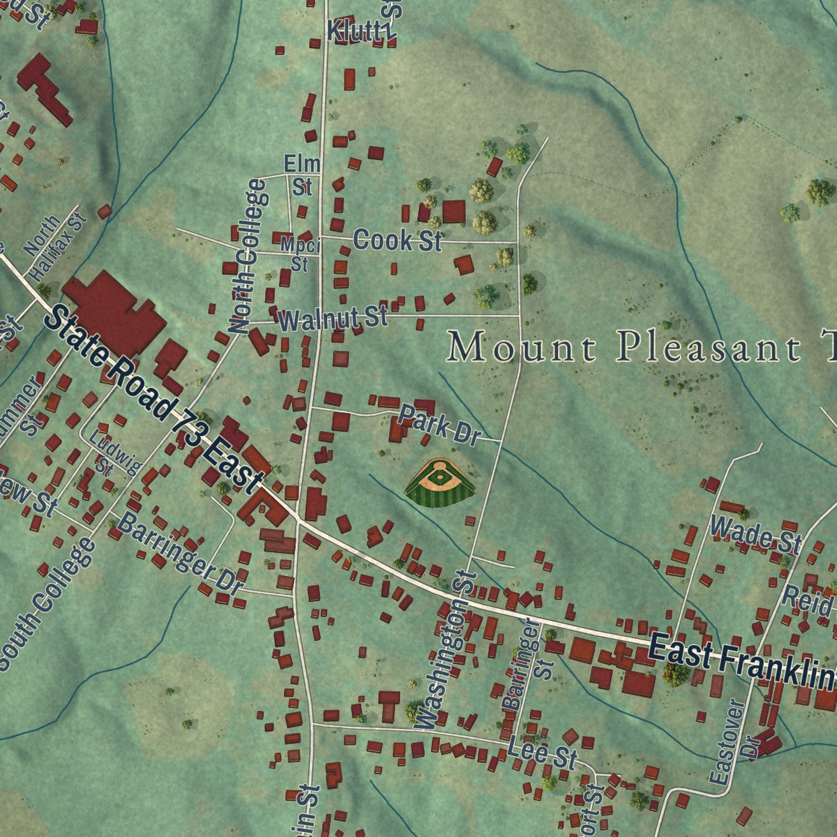 Close-up of the map of Mount Pleasant, North Carolina print showing street and building detail
