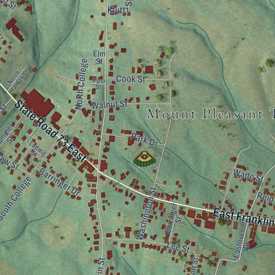 Close-up of the map of Mount Pleasant, North Carolina print showing street and building detail