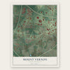 Mount Vernon, North Carolina map print, the full design