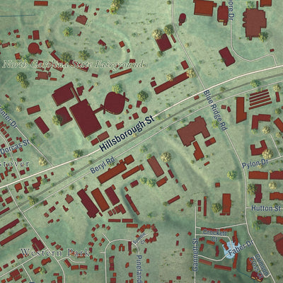 Close-up of the map of Mount Vernon, North Carolina print showing street and building detail