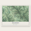 Mulberry, North Carolina map print, the full design