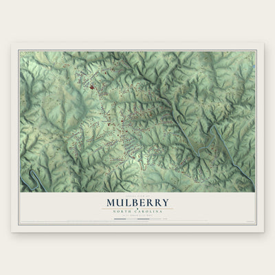 Mulberry, North Carolina map print, the full design