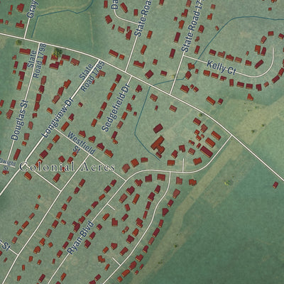 Close-up of the map of New Hope, North Carolina print showing street and building detail