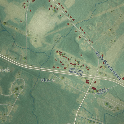 Close-up of the map of Northwest, North Carolina print showing street and building detail
